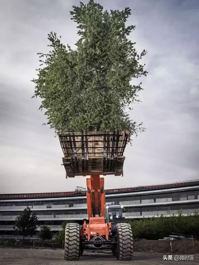 乔布斯去世之后发生了什么,乔布斯去世后的事