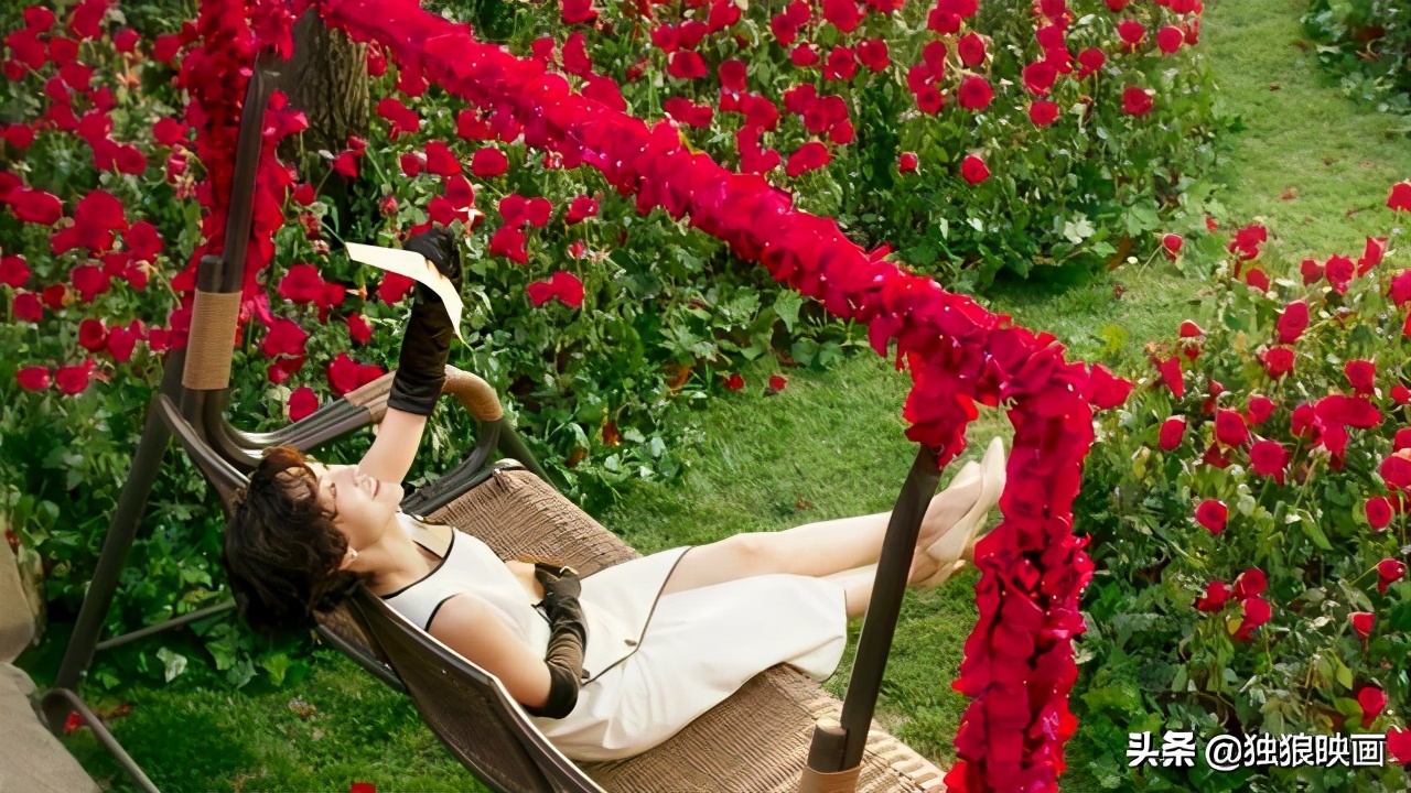 豆瓣2.4分的烂剧,盘点五部堪称经典的“烂片”