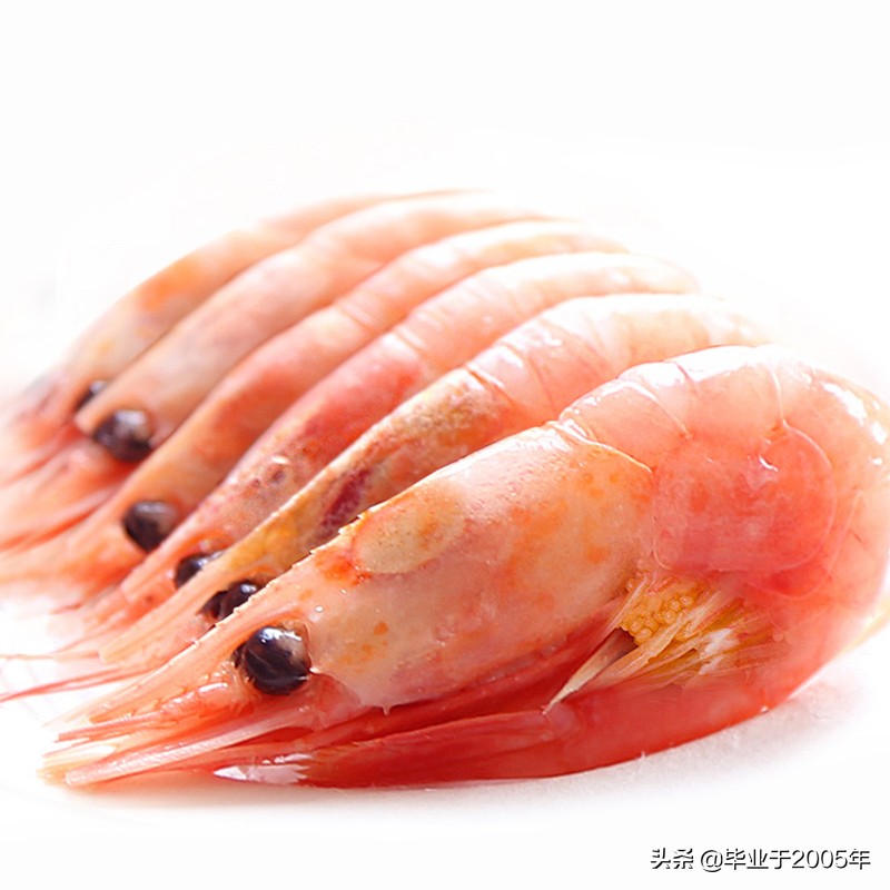 大连什么品种的虾好吃,大连哪里的虾最正宗
