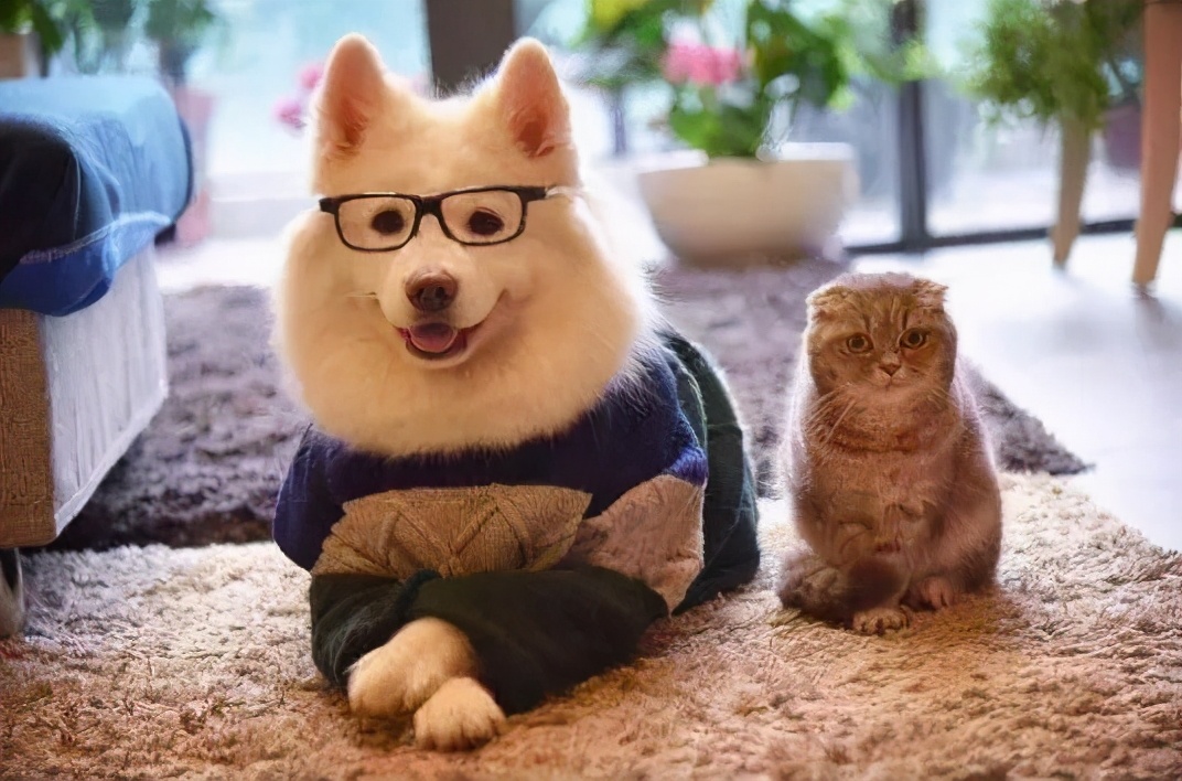 蒸汽拖把家庭清洁新帮手,蒸汽拖把清洁墙壁