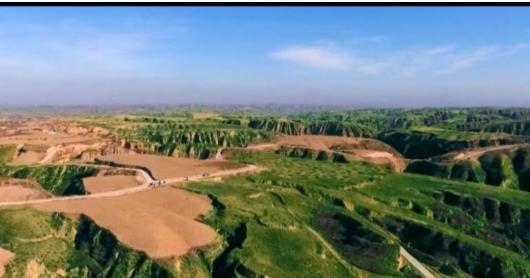 科技兴农打造“麻黄梁羊肉”地标产品