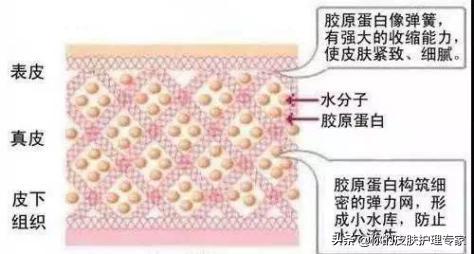 补充胶原蛋白可以收缩毛孔嘛,胶原蛋白精华液补水保湿收缩毛孔