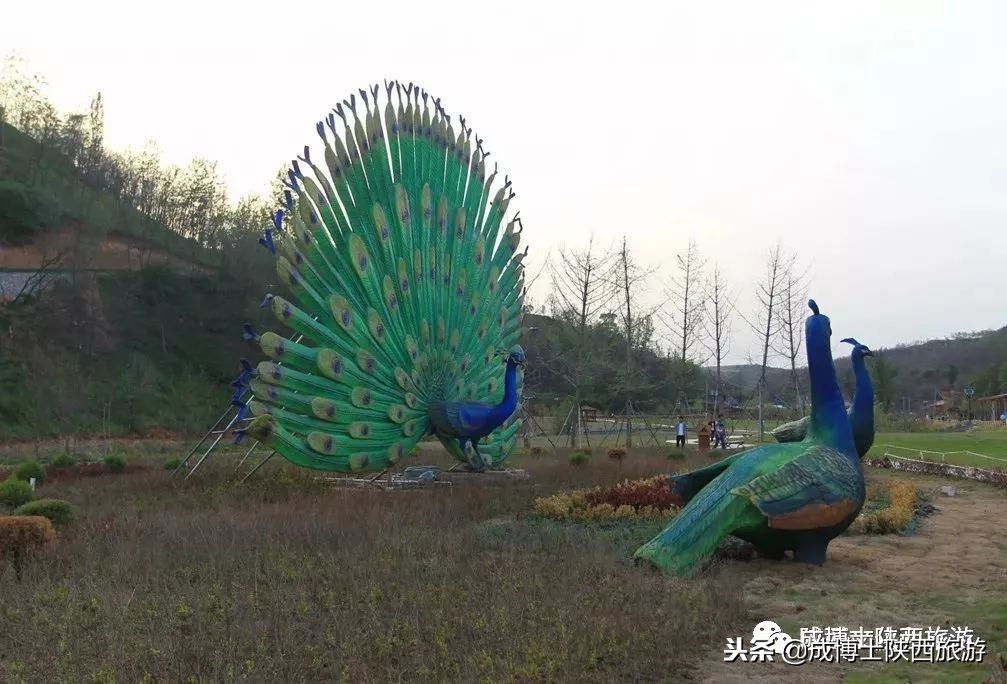 铜川都有啥旅游的地方,铜川有啥旅游的好地方