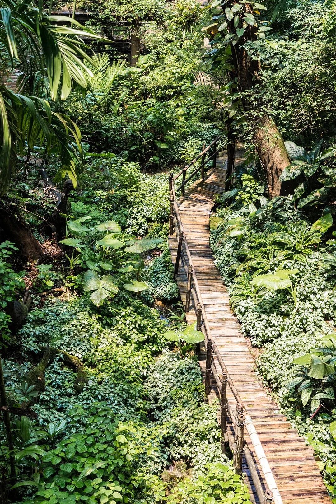 深圳10大旅游好去处,深圳盐田区周末休闲浪漫好去处
