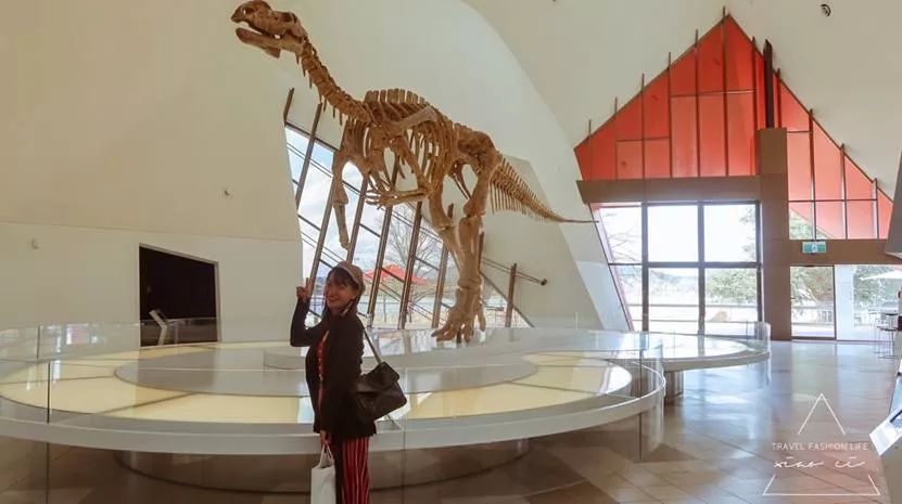 澳洲｜春意堪培拉，看袋鼠、品酒、赏花、住进动物的家