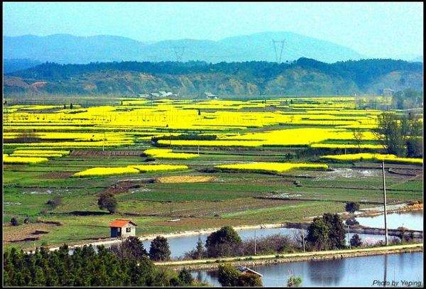 湖北松滋洈水风景区门票多少钱,松滋洈水旅游风景区游客量