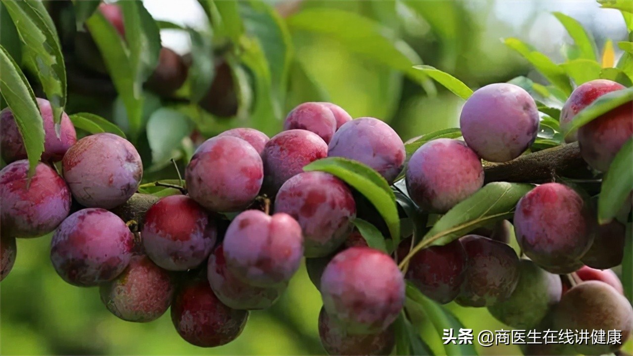 血糖高胰岛素高能吃什么水果,血糖高吃什么水果可以产生胰岛素