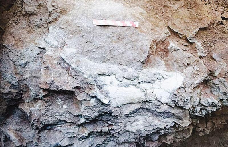 恐龙时代侏罗纪白垩纪,侏罗纪和白垩纪哪个时代远