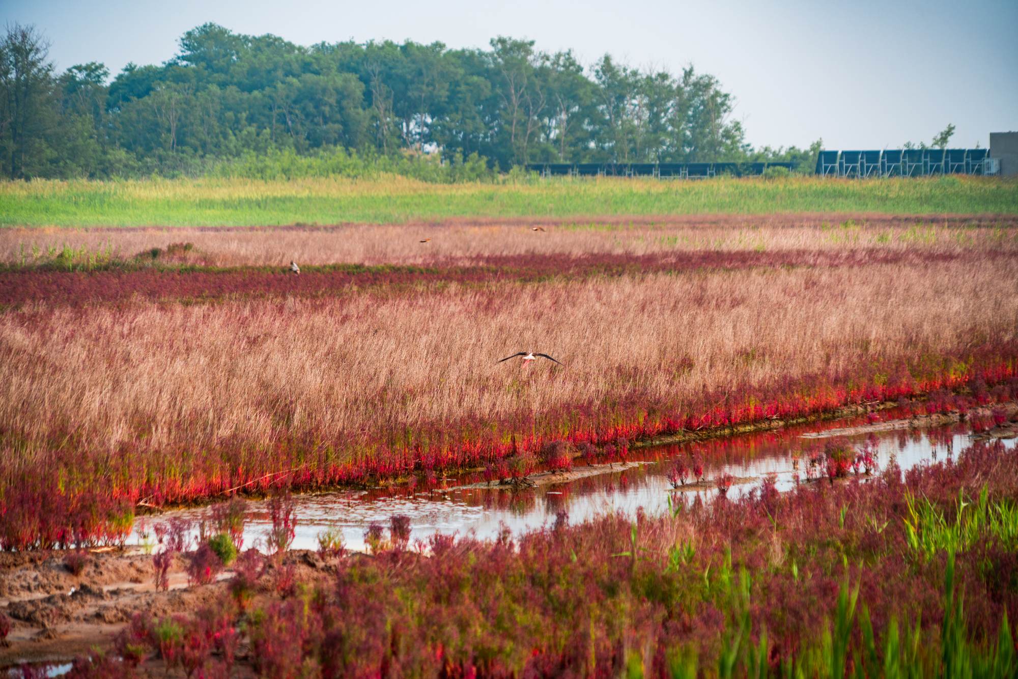 唐山适合1-4岁亲子游的地方,暑假遛娃旅游推荐唐山