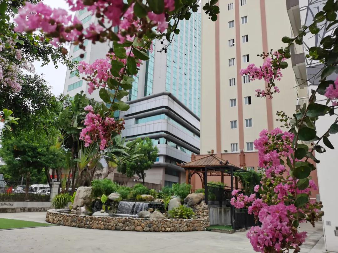 永春县桃溪实验小学2022年招生,永春县桃溪实验小学怎么样