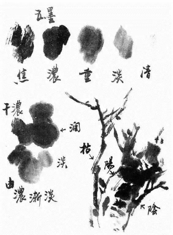 写意花鸟配景石的画法,干货写意花鸟类的画法