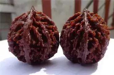 文玩核桃什么品种最好,全部文玩核桃大全