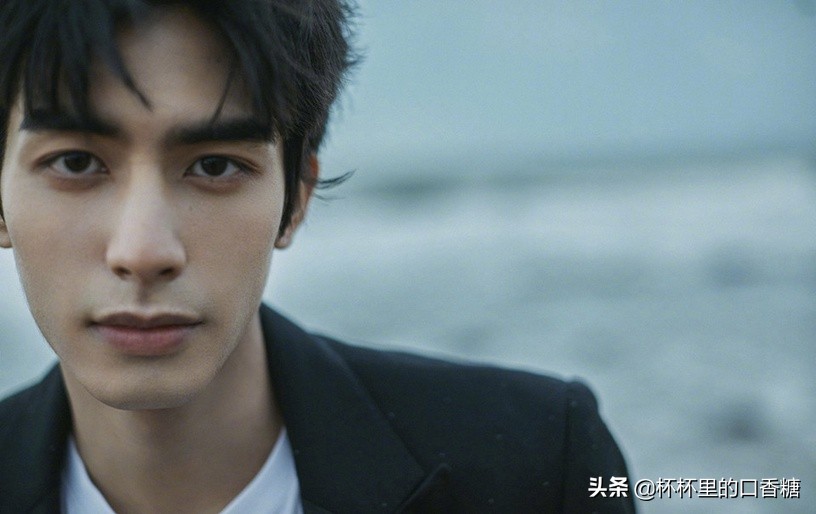 十大明星评价王一博,抖音公认十大帅哥王一博