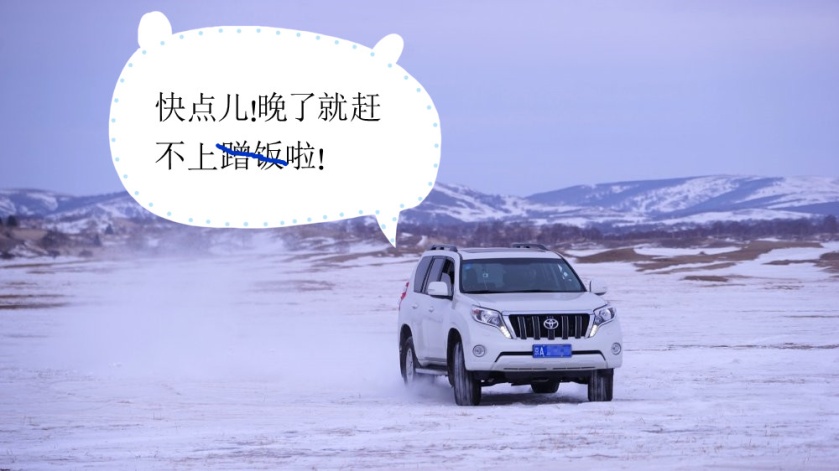 薛定谔的猫实测,欧拉白猫小野猫试驾