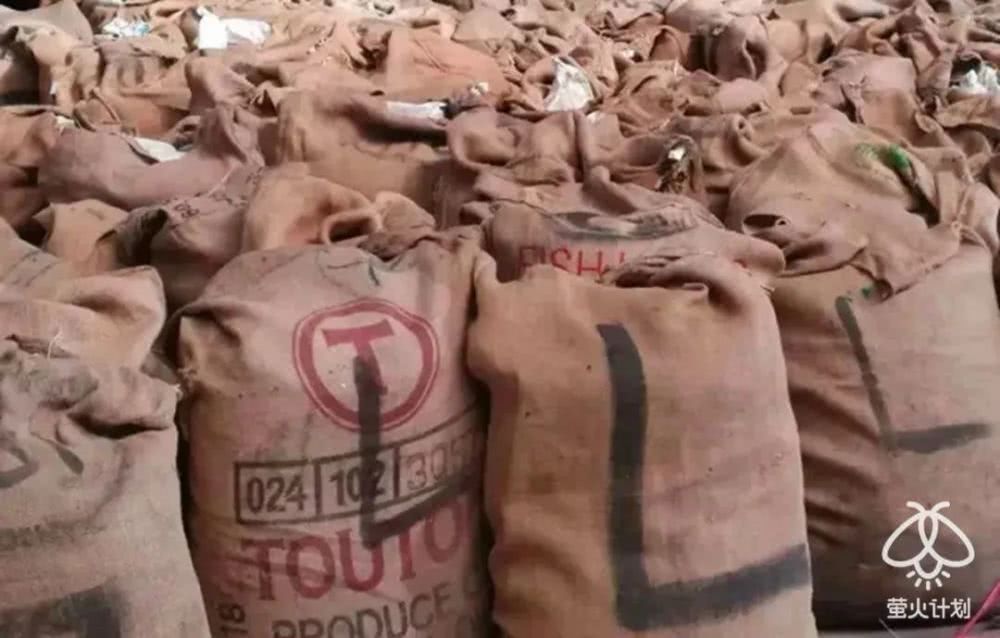 杀穿山甲时，下面会有一碗白米饭接着留下来的血|野味帝国