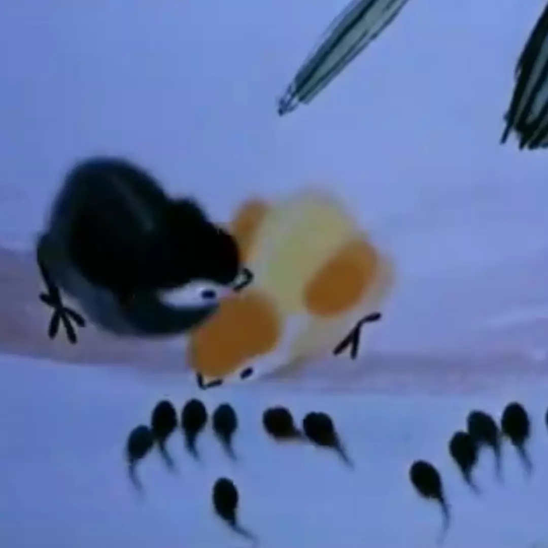 上海美术电影制片厂有哪些电影,上海美术电影制片厂近年作品