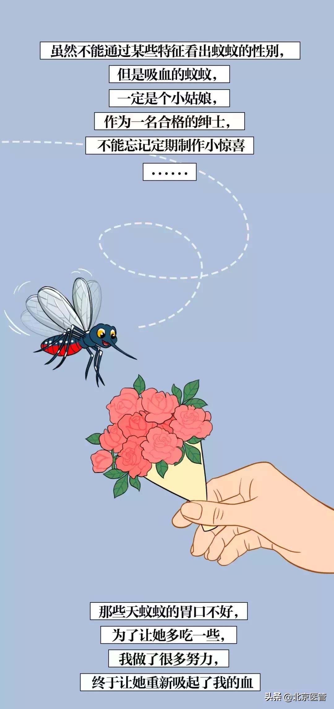 夏天蚊子太烦人教驱蚊的绝招,夏天怎么预防蚊子最有效