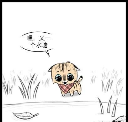 大狼狗小奶猫和平精英,大狼狗和小猫咪