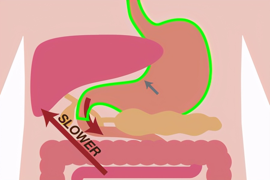 全球20多亿喝酒的消费者，让这根蛋白棒看到了新商机