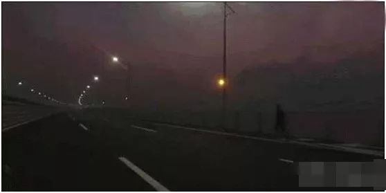 明星们的同学集会照片,明星同学集会照