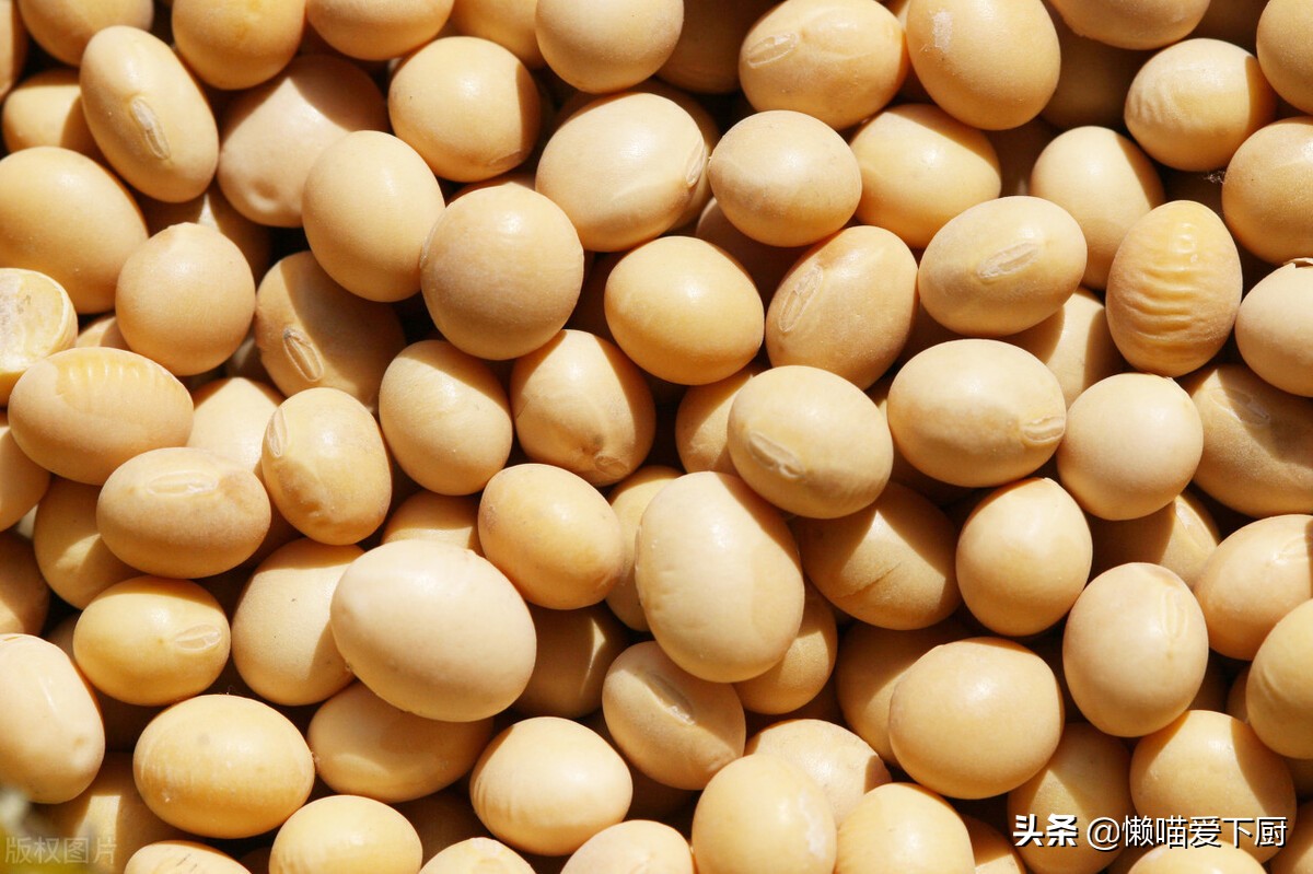 转基因大豆和非转基因大豆区别,非转基因大豆和转基因大豆的区别