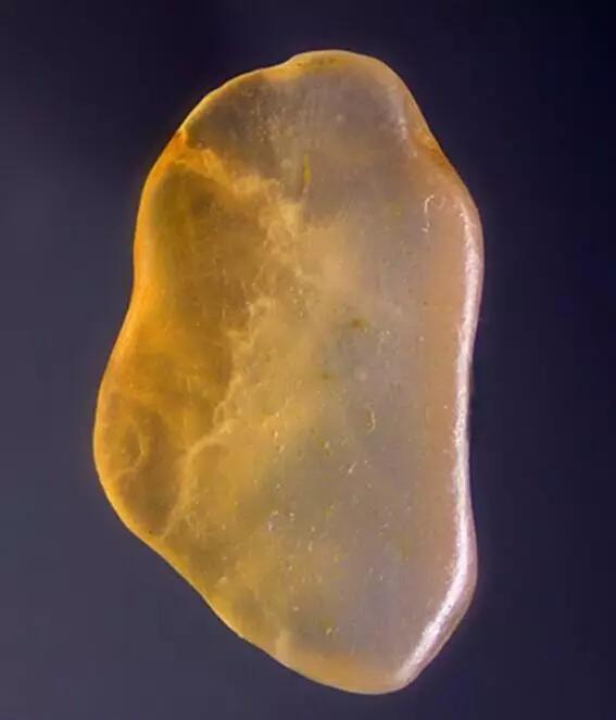 终于捡到了值钱的石头,捡到这些石头不要扔真的很值钱