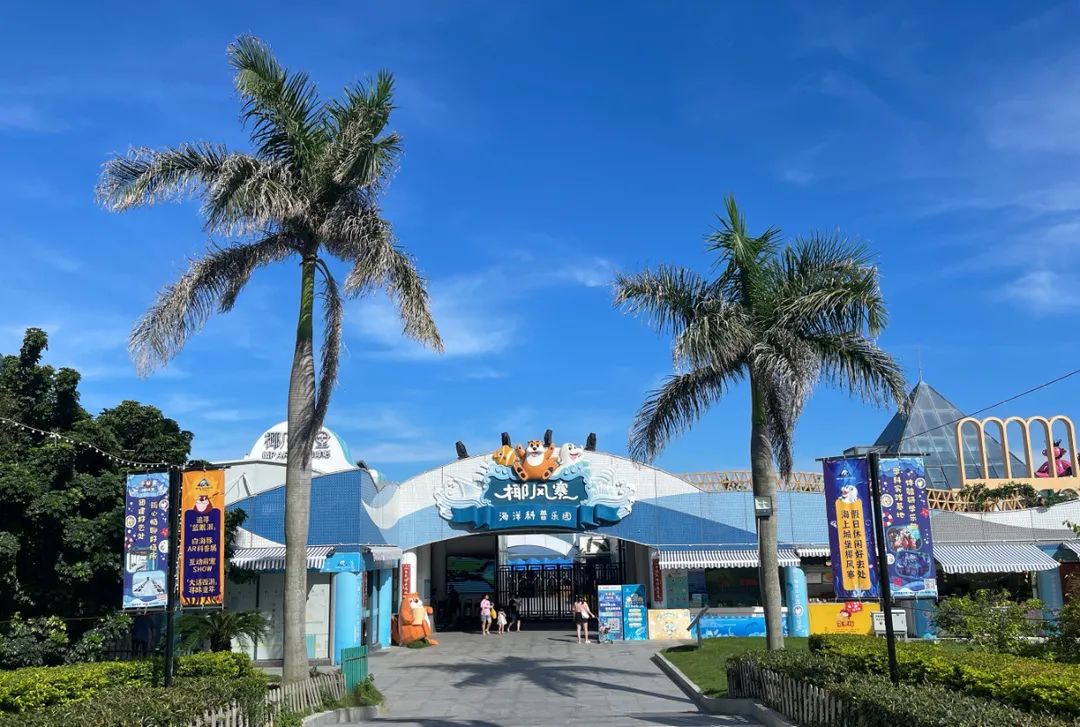 黄金海岸沙雕海洋乐园梦幻水世界,美爆了2019首届奇幻星空海洋馆