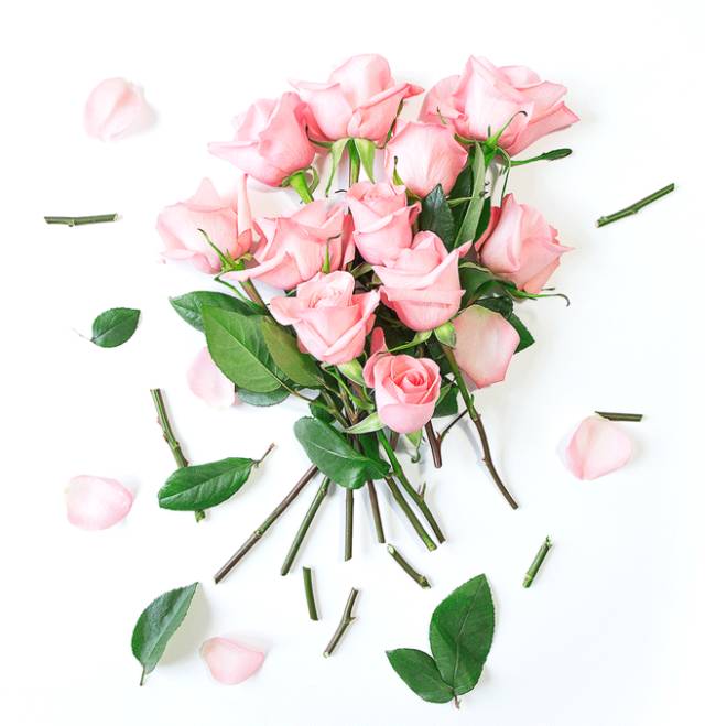 花店里买回来的鲜花怎么放更长久,花店鲜花如何保存时间可以比较长