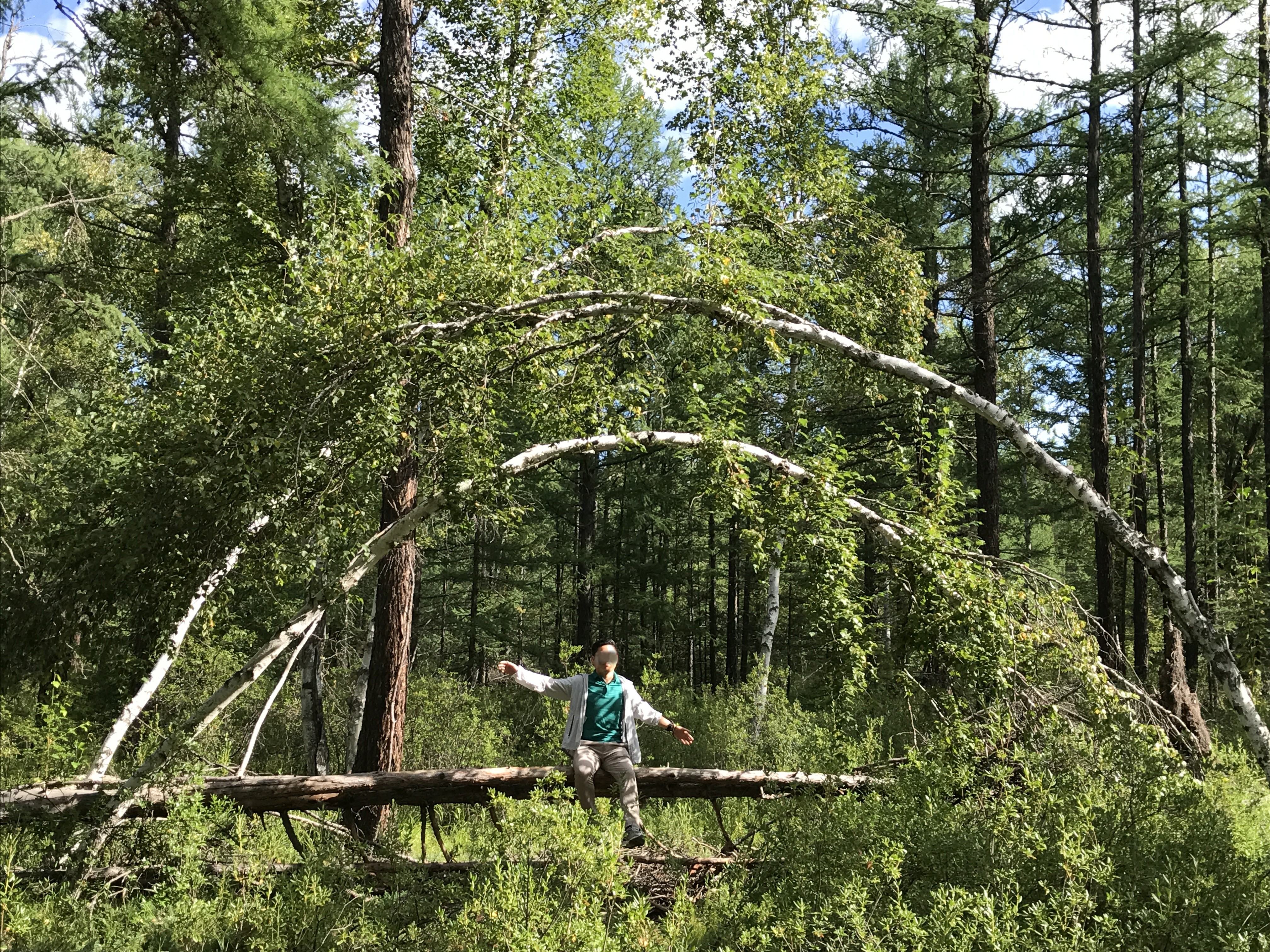 北京游阿尔山路线攻略,北京阿尔山旅游自由行攻略