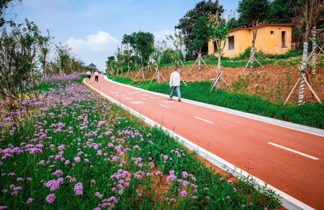 三明城市双修最新消息,三明城市双修总体规划