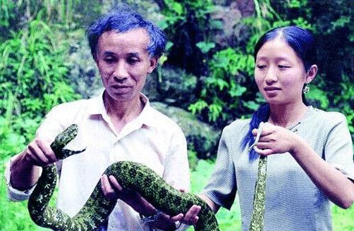 世界毒蛇毒性排名前100,中国十大毒蛇毒性详细介绍