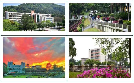 高职高考广东看什么,广东高职高考复习看哪些老师