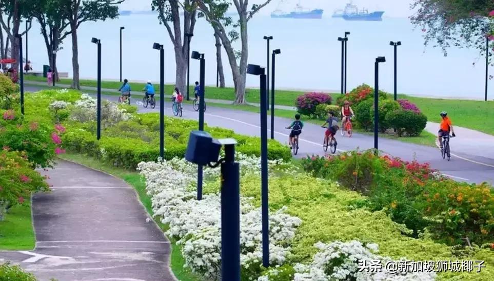 新加坡太小会不会很无聊,新加坡小岛攻略