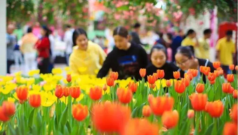 2020广州三八节免费景点,广州三八节哪些景点公园免费