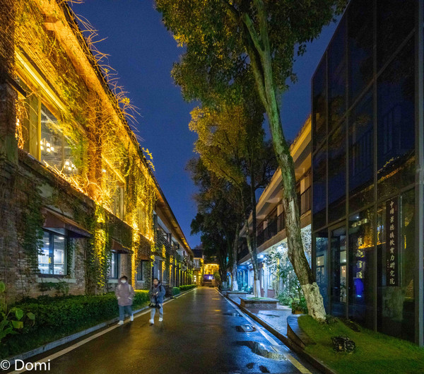 江西旅游攻略三天自由行攻略,江西三天两夜自由行旅游攻略