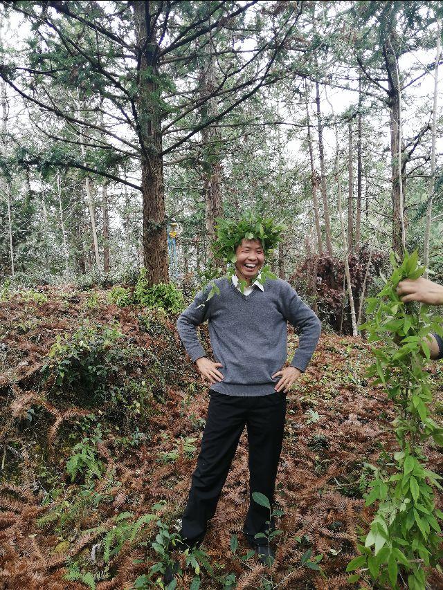 四明山哪座山上有黄精,四明山哪里有山黄精