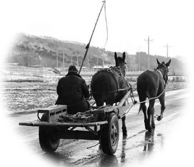 极度恐慌狼,极度恐慌狼敲门