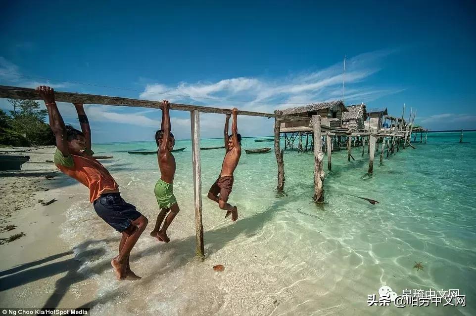 帕劳世界最美的海洋,加勒比海哪个国家景色好