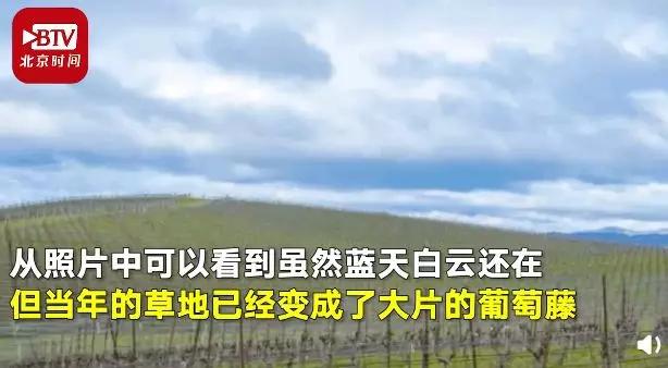 电脑蓝天白云草原壁纸火了吗,蓝天草原壁纸超清4k