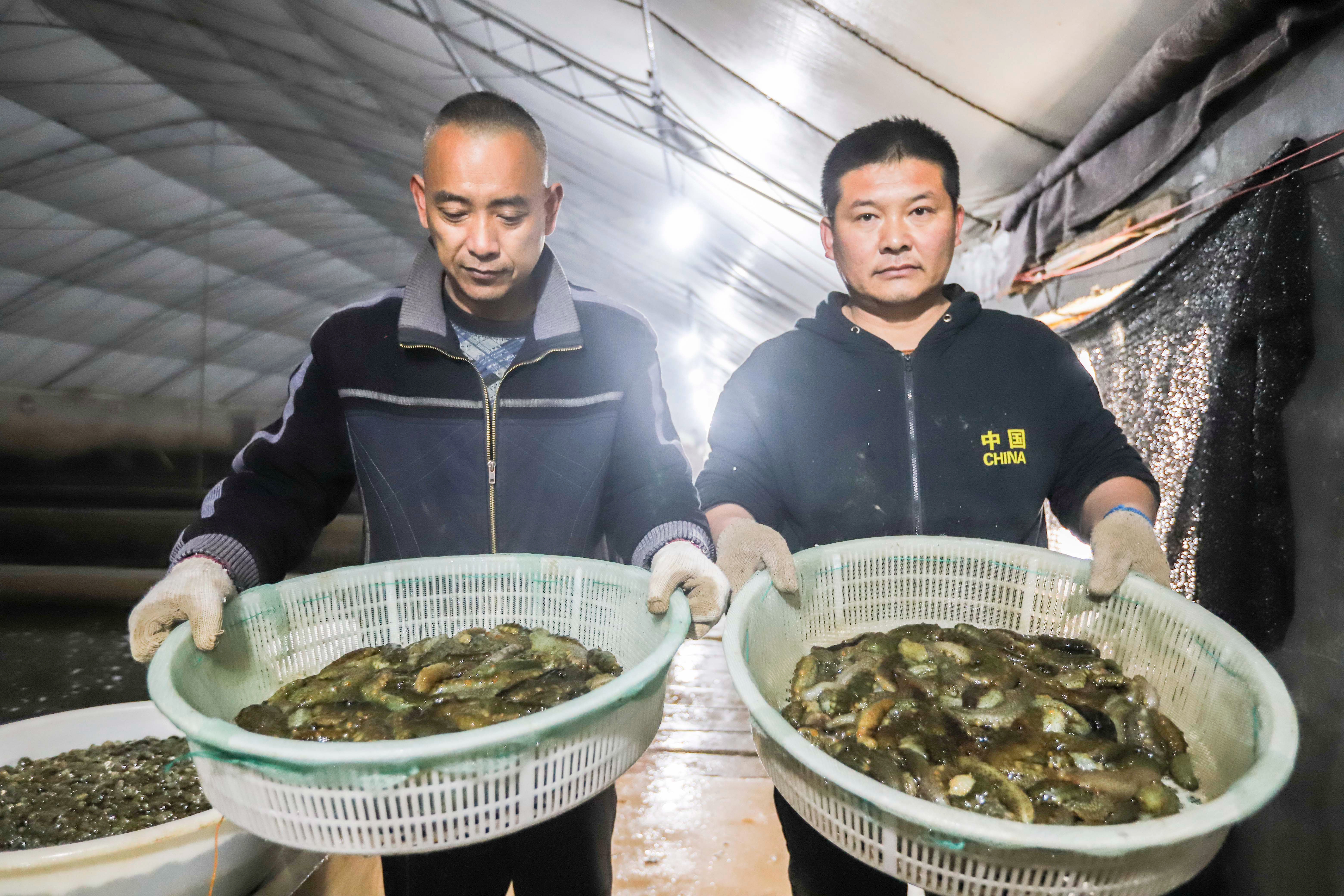 大海蔚蓝簇拥着的贡口村，灵动着纯美，播养海参和剥扇贝别具风情