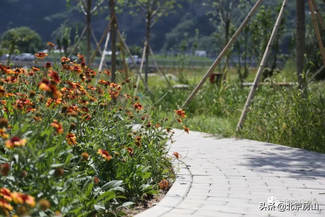 废弃的矿山正在改导致为一座公园,废弃矿坑改导致美丽公园