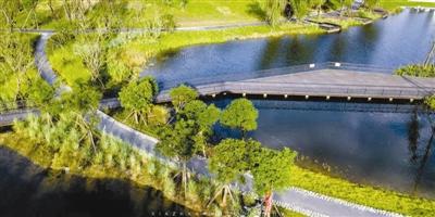 天府绿道锦江绿轴,天府锦城绿道二期