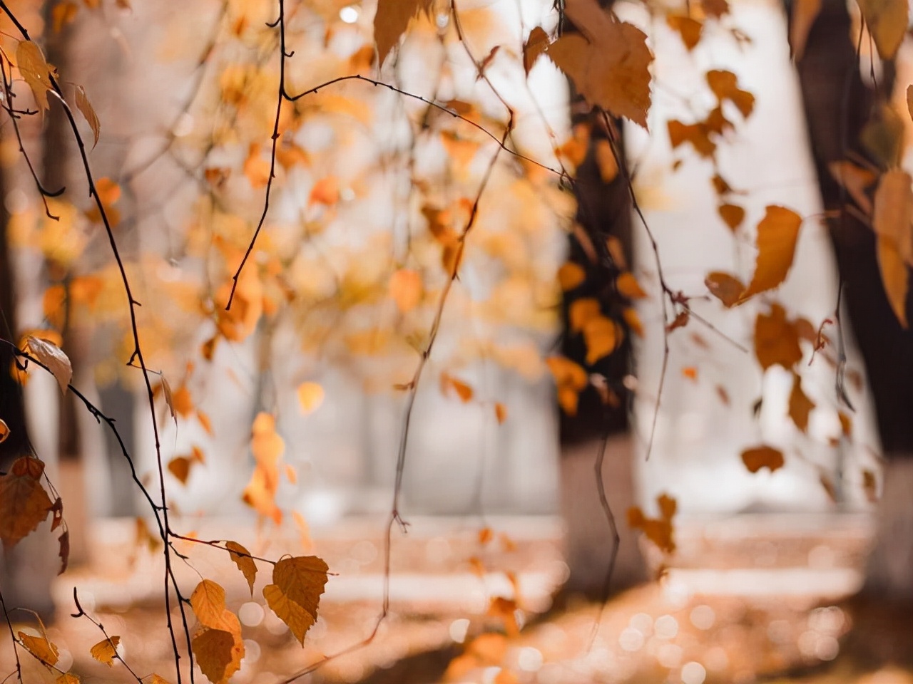 天蝎座冷到可怕的表现,天蝎座对谁的态度比较冷淡