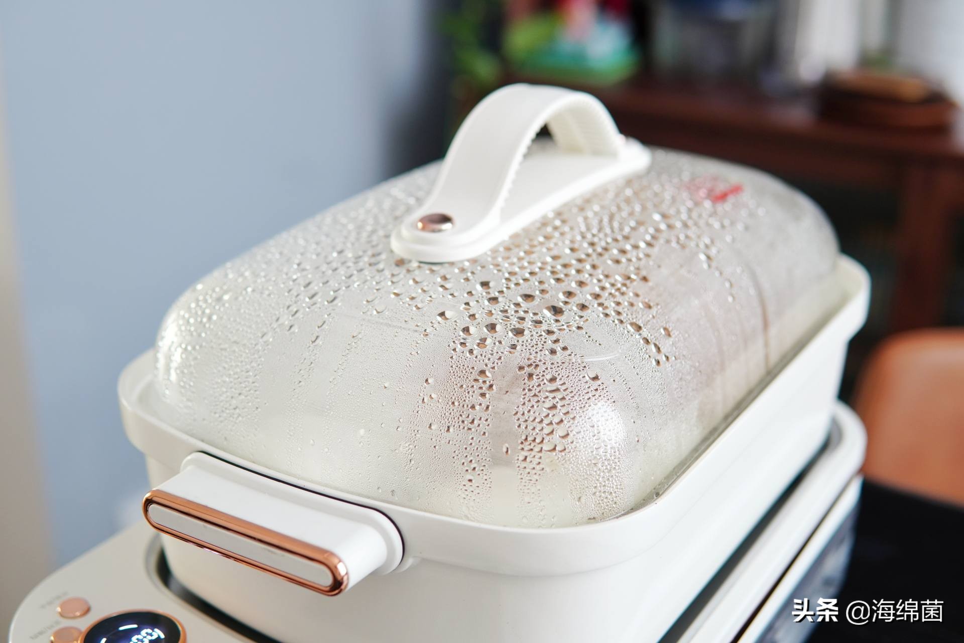 博拉利多功能蒸汽料理锅测评,博拉利蒸汽锅介绍