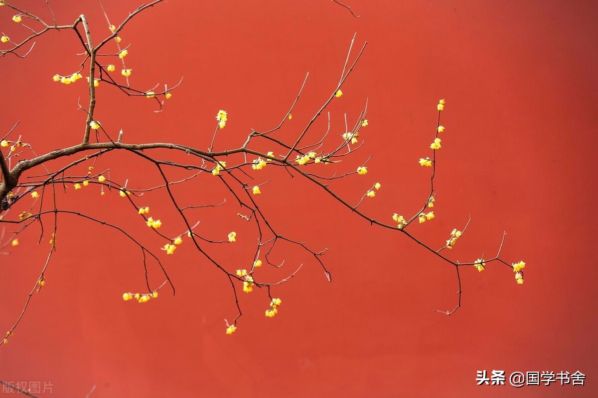 庄子追求绝对的精神自由,庄子的七种思维