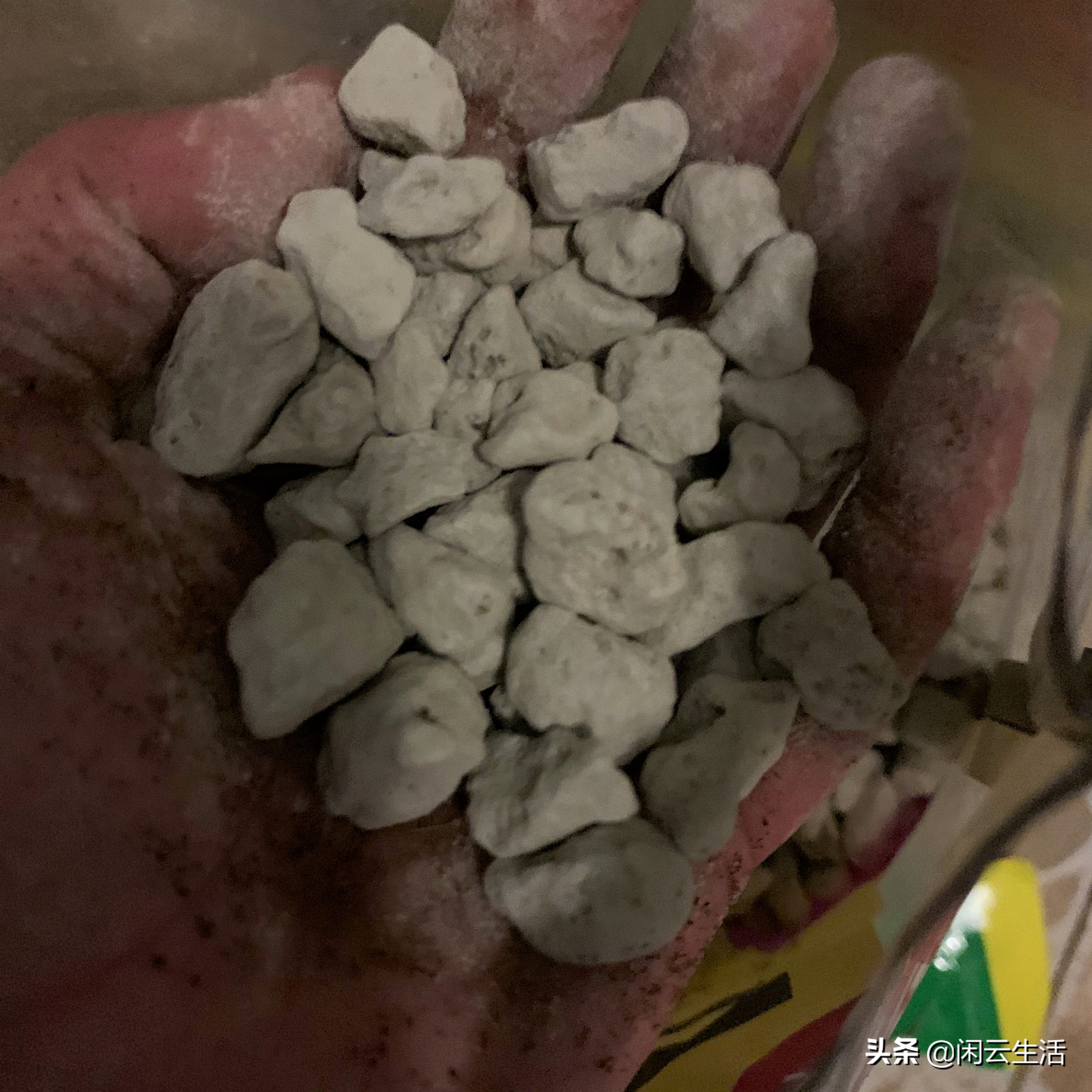 还在买几块钱包邮的营养土吗？快停止吧！——室内植物配土说明