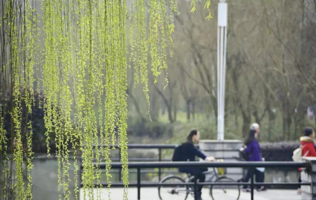 四川最有钱的5所大学,四川最有钱的大学排名