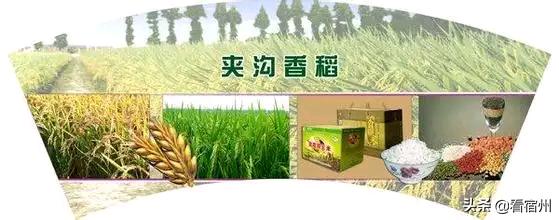 宿州五一旅游攻略,宿州美食风景