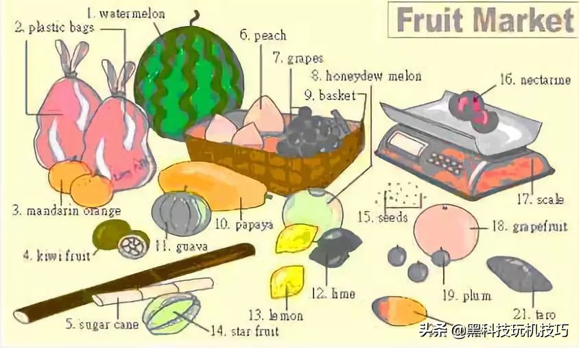 高频英语单词快速记忆口诀,18张图一网打尽英语生活常用词