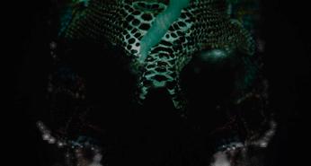 娜扎各种风格造型惊艳,娜扎的惊艳感